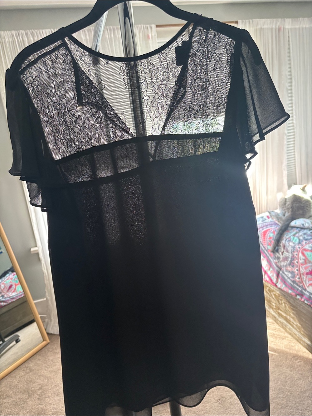 City Chic Black Lace Yoke Flutter Sleeve Top